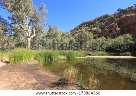 Ellery Creek Big hole in West Mac Donnell Range, Australia