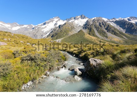 Aoraki Mount Cook ,Beautiful view during walk to glacier in Mount Cook National Park, South Island, New Zealand