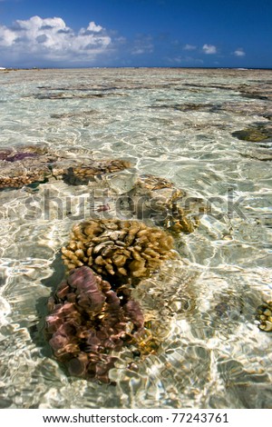Turquoise pure spotless water of Pacific with part of the coral reef, Maupiti, French Polynesia, Society Islands