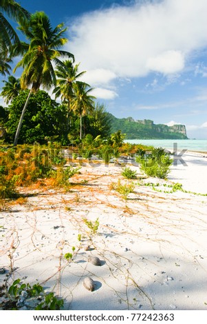 The beach, Maupiti, French Polynesia, Society Islands