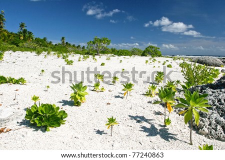 White sand on the tropical beach of Maupiti, French Polynesia, Society Islands