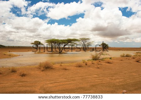 View of landscape with african trees in the background, Kenya