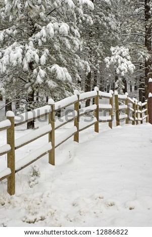 The winter scene of a wooden rail fence line during a snow storm with snow covered pine trees in the background.