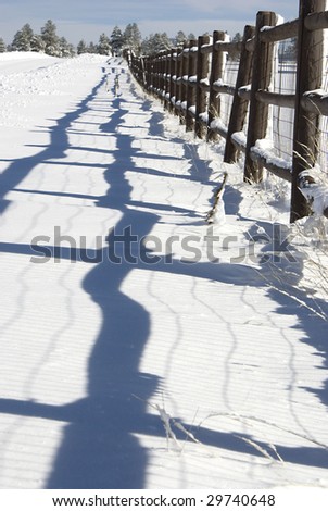 Low perspective shot of the shadows off a post rail fence line in the snow.