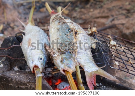 Asia roasted  fish on grill.