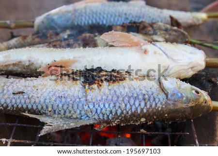 Asia roasted  fish on grill.