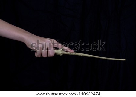 Hand Holding Magic Wand. Stock Photo 110669474 : Shutterstock