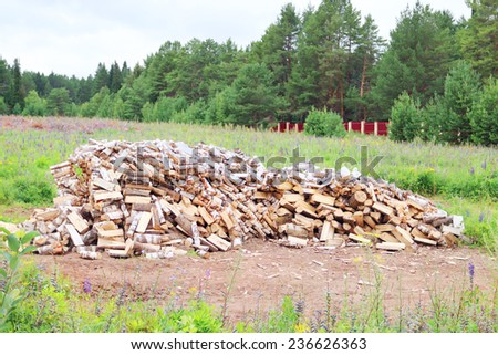 Big pile of birch wood in clearing surrounded by fence and green trees