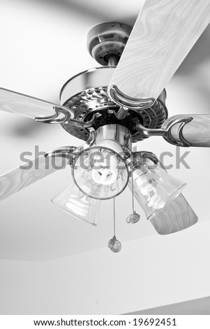 Ceiling Fan attached to the roof of a room