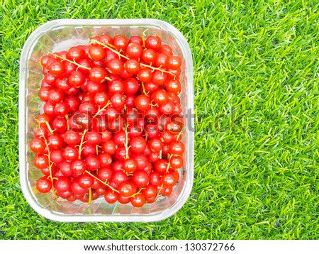 Redcurrants in plastic box on grass
