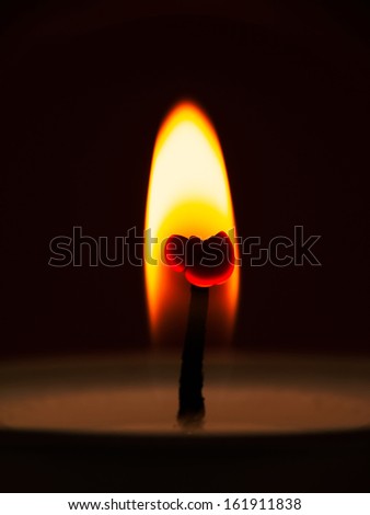 Tea light candle flame macro