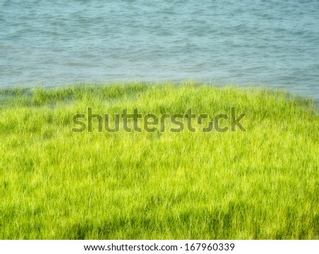 Grass and water for background, painterly effect