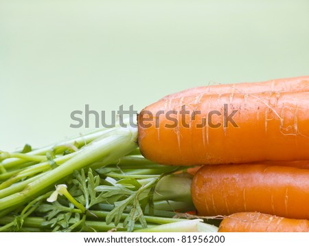 Carrots on green background macro shot