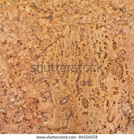 Beautiful detailed cork texture