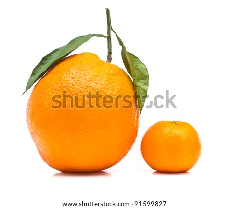 Big and small orange on white background
