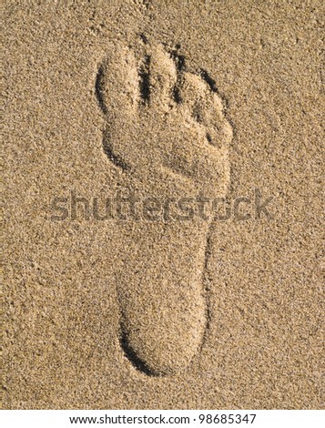 Human footprint in sand on beach