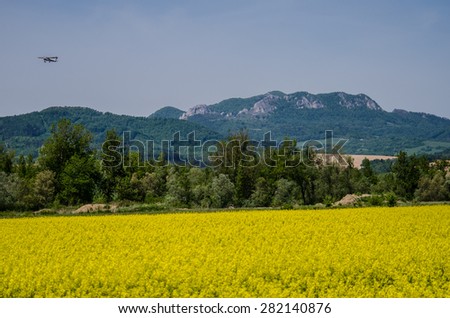 Massif of the White Carpathian Mountains , blossoming meadow .
