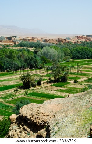 View over cultivated fields and palms to oasis town of Tinerhir Dades Valley Morocco North Africa Africa