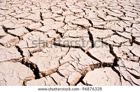 Dry land texture, background