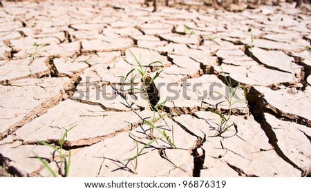 Dry land texture, background