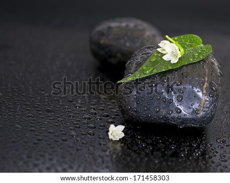 Black stones with leaf, flower and water drops on black background