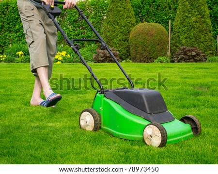Green grass is mowed lawn mower