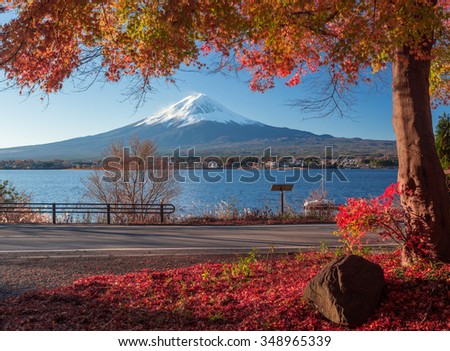 Mt. Fuji and autumn foliage at Lake Kawaguchi.