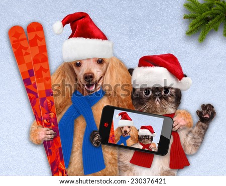 Cat and dog in red Christmas hats taking a selfie together with a smartphone
