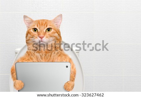 Cat with a tablet pc in a toilet.