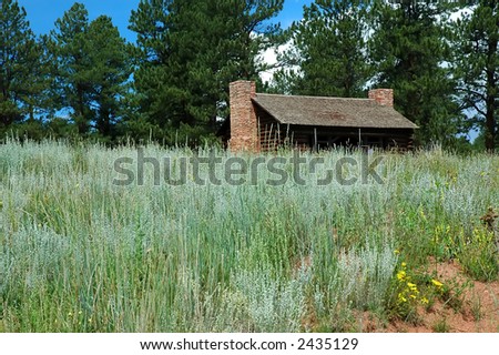 Old cabin in field of grass surrounded by large pine trees