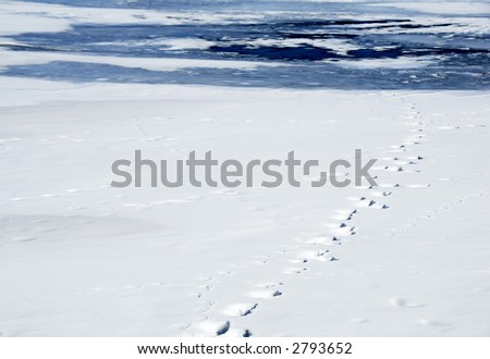 Horizontal view of footprints in snow leading to thin and melting ice on lake
