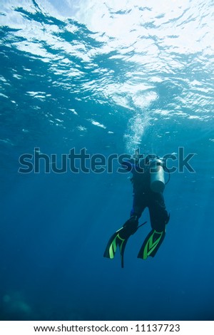 scuba diver with yellow and black fins swimming to surface of caribbean sea