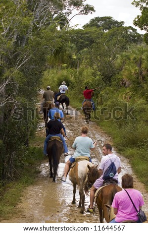 tourists riding horses on muddy trail in belize central america