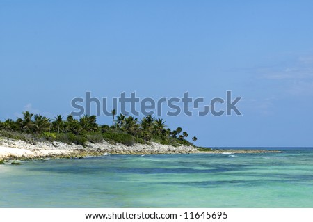 caribbean shoreline