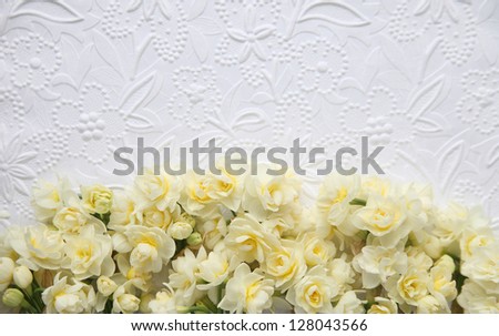 fresh spring narcissus flowers on lower portion of white embossed art paper background