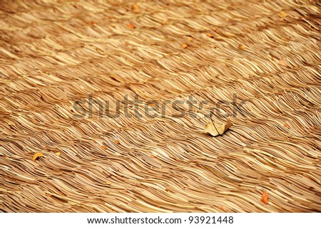 Leaf on roof weave