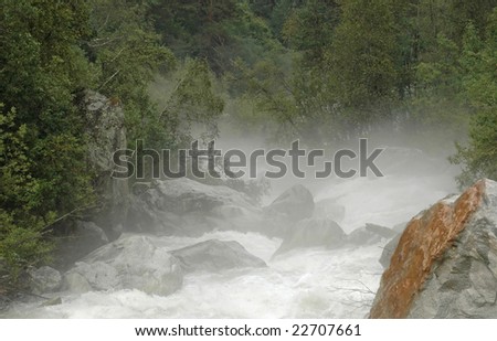Mountain stream in forest