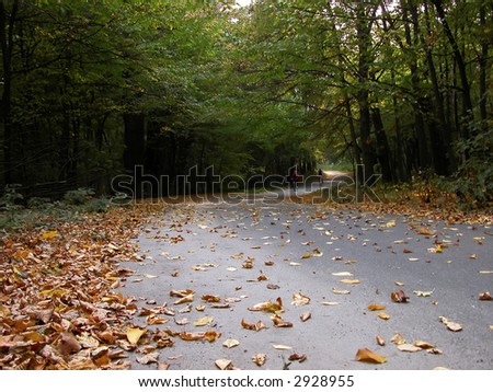 The twisting road doted with leaves and two bikes in autumn park