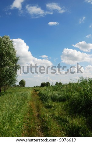 The green meadow footpath occupied by the summer sky, portrait orientation.