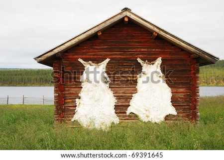 Reindeer\'s fells are dried on the wooden wall of hut. This old cabin is in the middle of green pasture near lake.