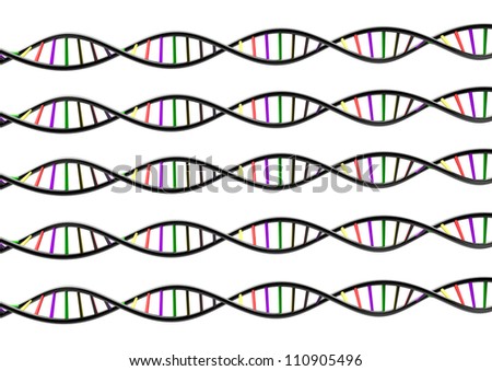 DNA STRAND genetic genome on white