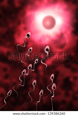 sperm and egg cell - Natural insemination -