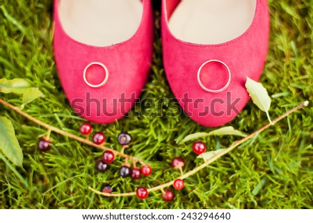 wedding rings on the pink shoes