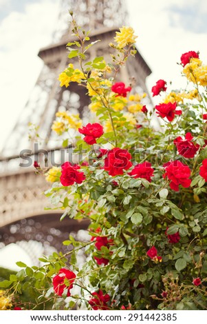 The Eiffel Tower of Paris behind a red rose
