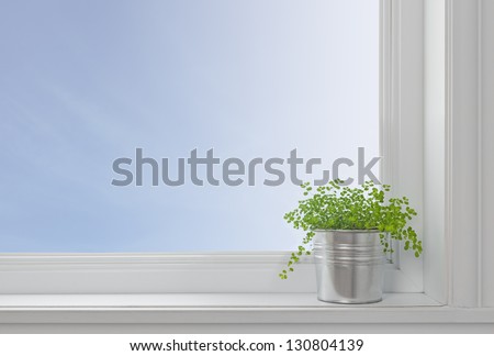 Green Plant On A Window Sill, In A Modern Home, With Blue Sky Seen Through The Window.
