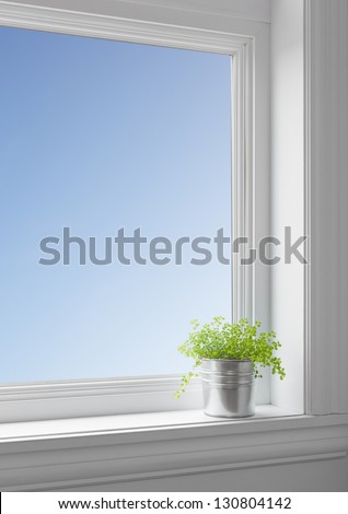 Green Plant On A Windowsill, With Blue Sky Seen Through The Big Clean Window.