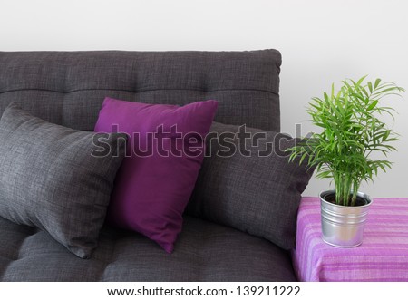 Cozy sofa decorated with cushions, and green plant in metal pot.