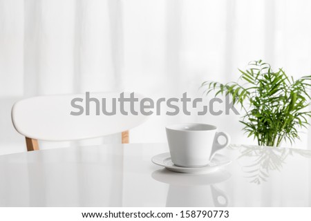 White cup on the kitchen table, with green plant in the background.
