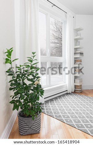 Lemon Tree In A Room With Peaceful Winter Landscape Outside The Window.