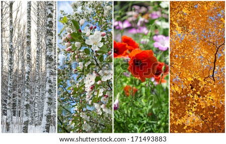 Nature in winter, spring, summer and autumn. Four seasons.
